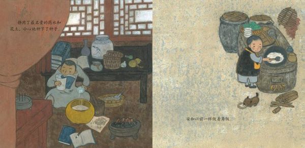 绘本《安的种子》
