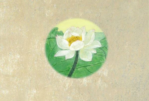 绘本《安的种子》