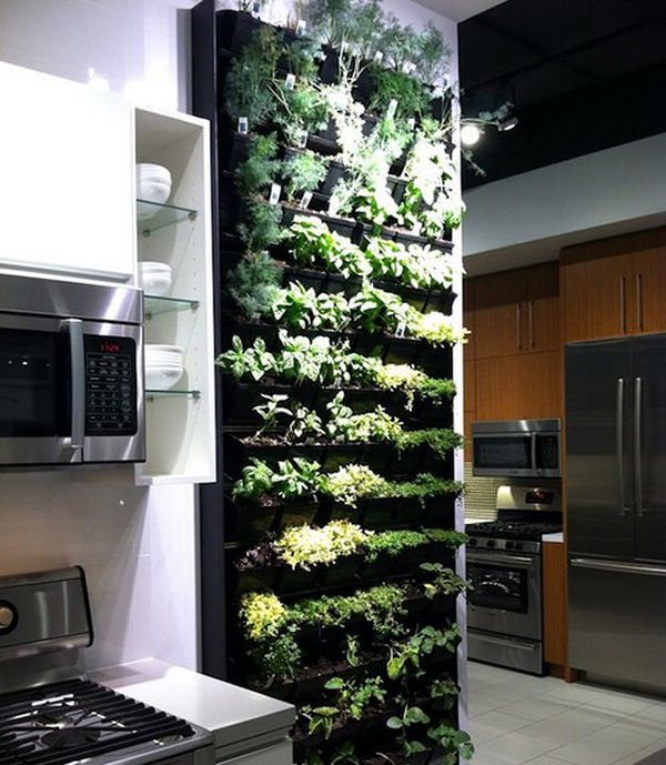 如果家里这样了，你，还想出门吗？