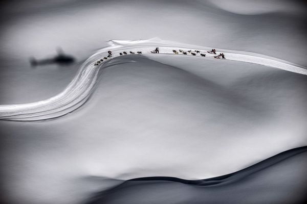 俯视雪橇比赛