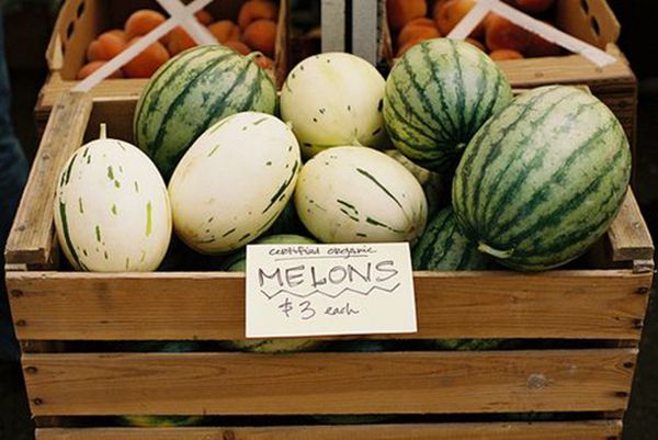 85109