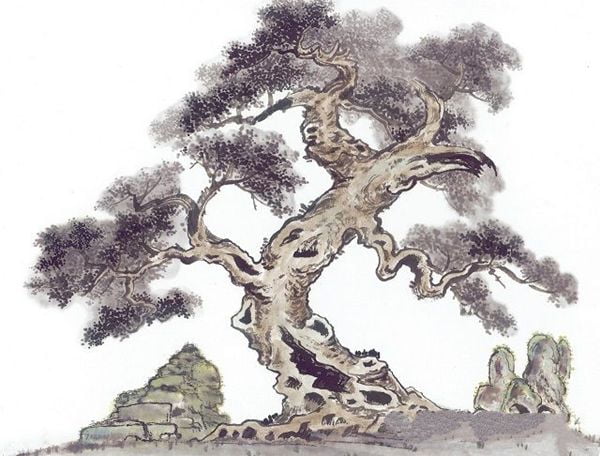 155702