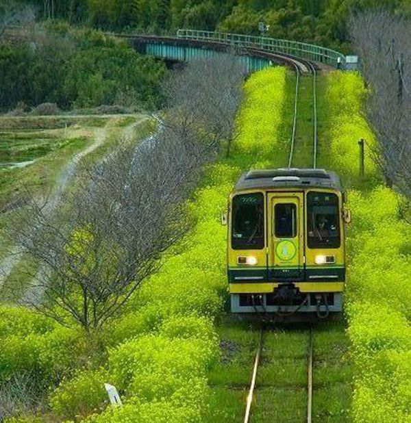 243605